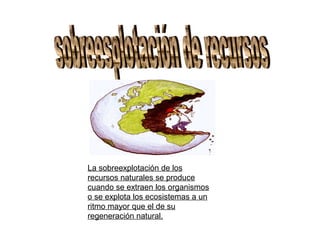 La sobreexplotación de los
recursos naturales se produce
cuando se extraen los organismos
o se explota los ecosistemas a un
ritmo mayor que el de su
regeneración natural.