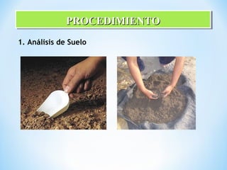 PROCEDIMIENTOPROCEDIMIENTOPROCEDIMIENTOPROCEDIMIENTO
1. Análisis de Suelo
 
