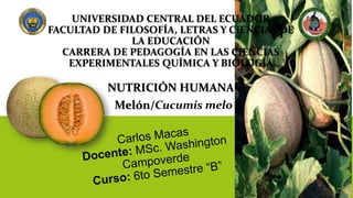 UNIVERSIDAD CENTRAL DEL ECUADOR
FACULTAD DE FILOSOFÍA, LETRAS Y CIENCIAS DE
LA EDUCACIÓN
CARRERA DE PEDAGOGÍA EN LAS CIENCIAS
EXPERIMENTALES QUÍMICA Y BIOLOGÍA
NUTRICIÓN HUMANA
Melón/Cucumis melo
 