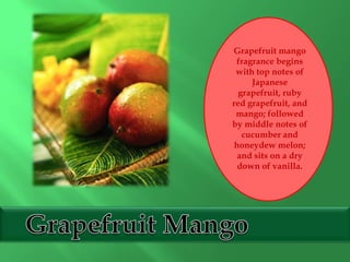Grapefruit mango
fragrance begins
with top notes of
Japanese
grapefruit, ruby
red grapefruit, and
mango; followed
by middle notes of
cucumber and
honeydew melon;
and sits on a dry
down of vanilla.
 