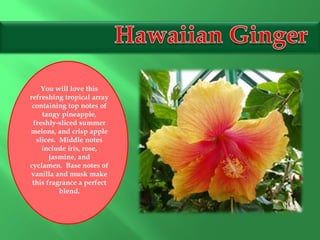 You will love this
refreshing tropical array
containing top notes of
tangy pineapple,
freshly-sliced summer
melons, and crisp apple
slices. Middle notes
include iris, rose,
jasmine, and
cyclamen. Base notes of
vanilla and musk make
this fragrance a perfect
blend.
 