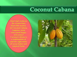 Don't fall victim to
the winter-time
blues this season,
let Coconut Cabana
fragrance keep
your mood happy
and sunny!
Coconut Cabana is
a combination of
just the right notes
of cocoa butter and
tropical fruits.
 