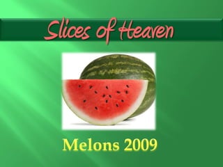 Slices of Heaven
 