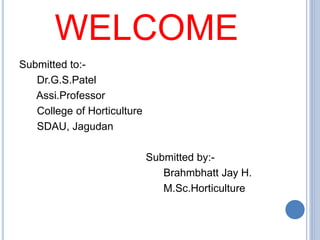 Submitted to:-
Dr.G.S.Patel
Assi.Professor
College of Horticulture
SDAU, Jagudan
Submitted by:-
Brahmbhatt Jay H.
M.Sc.Horticulture
WELCOME
 