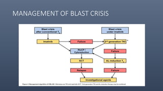 MANAGEMENT OF BLAST CRISIS
 