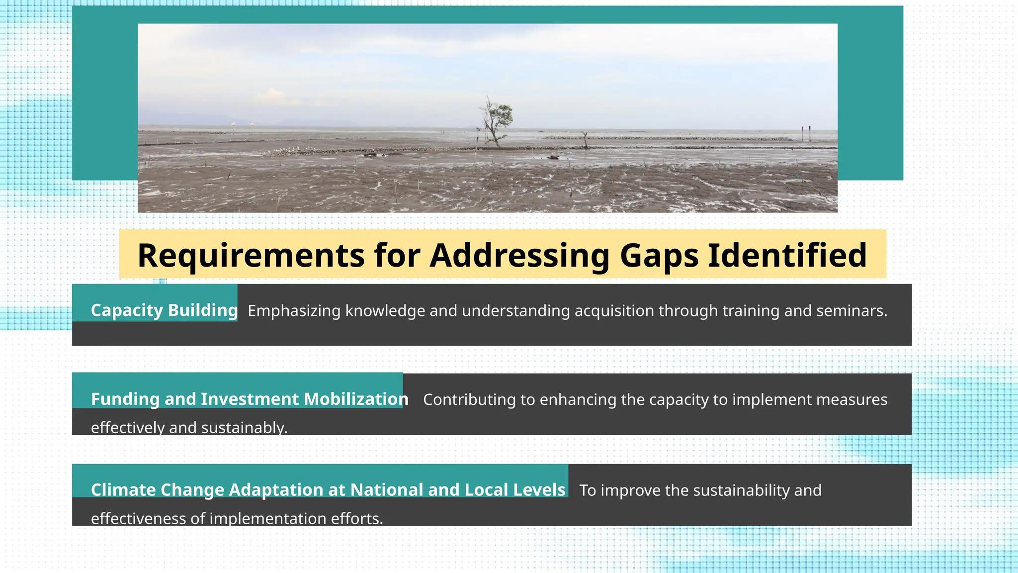 48
Requirements for Addressing Gaps Identified
Capacity Building Emphasizing knowledge and understanding acquisition through training and seminars.
Funding and Investment Mobilization Contributing to enhancing the capacity to implement measures
effectively and sustainably.
Climate Change Adaptation at National and Local Levels To improve the sustainability and
effectiveness of implementation efforts.
 