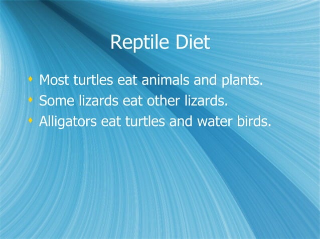 Mel Reptiles PPT mel-reptiles-ppt