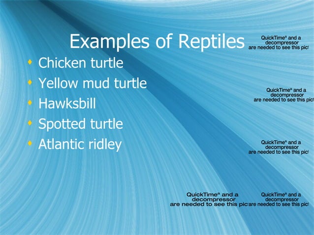 Mel Reptiles PPT mel-reptiles-ppt