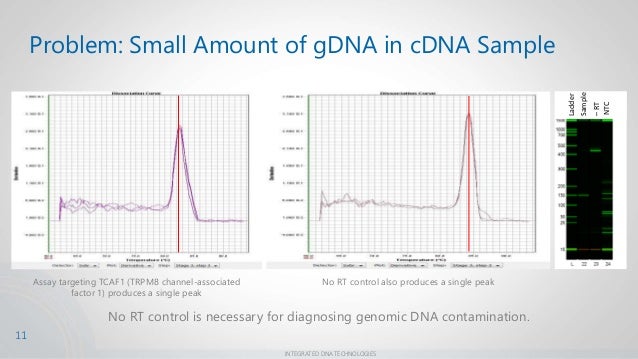 understanding melt curves for improved sybr green assay analysis and