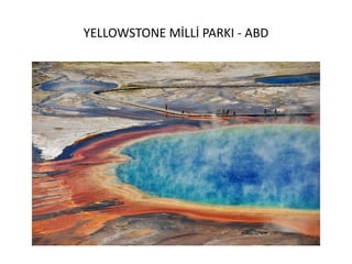 YELLOWSTONE MİLLİ PARKI - ABD
 