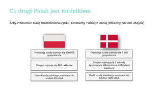 Co drugi Polak jest rzeźnikiem
Żeby zrozumieć skalę rozdrobnienia rynku, zestawmy Polskę z Danią (zbliżony poziom ubojów)....