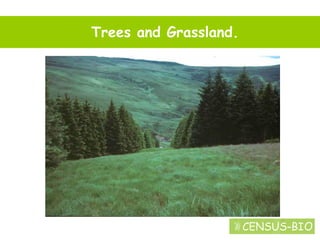 Melvyn Askew: Introduction To Biofuels