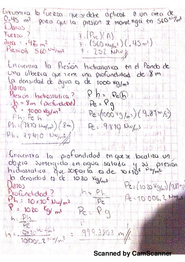 Melyz Fisica