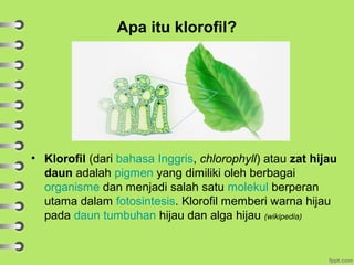 Apa itu fotosintesis