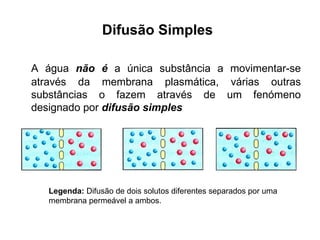 Difusão Simples   A água  não é  a única substância a movimentar-se através da membrana plasmática, várias outras substâncias o fazem através de um fenómeno designado por  difusão simples Legenda:  Difusão de dois solutos diferentes separados por uma  membrana permeável a ambos.   