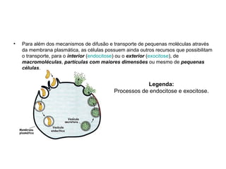 Para além dos mecanismos de difusão e transporte de pequenas moléculas através da membrana plasmática, as células possuem ainda outros recursos que possibilitam o transporte, para o  interior  ( endocitose ) ou o  exterior  ( exocitose ), de  macromoléculas ,  partículas com maiores dimensões  ou mesmo de  pequenas células .  Legenda:   Processos de endocitose e exocitose.  