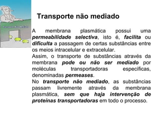 Transporte não mediado   A membrana plasmática possui uma  permeabilidade selectiva , isto é,  facilita  ou  dificulta  a passagem de certas substâncias entre os meios intracelular e extracelular. Assim, o transporte de substâncias através da membrana  pode ou não ser mediado  por moléculas transportadoras específicas, denominadas  permeases . No  transporte não mediado , as substâncias passam livremente através da membrana plasmática,  sem que haja intervenção de proteínas transportadoras  em todo o processo.  