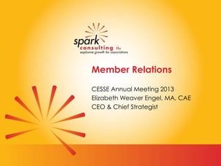 Member Relations
CESSE Annual Meeting 2013
Elizabeth Weaver Engel, MA, CAE
CEO & Chief Strategist
 