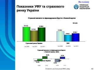 На головну 