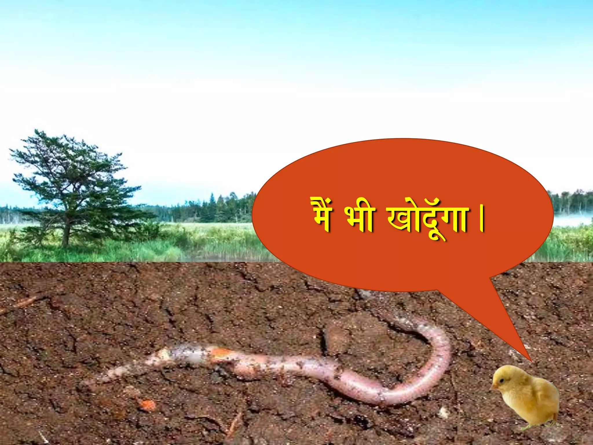 maOM BaI KaodU^Mgaa. 
 