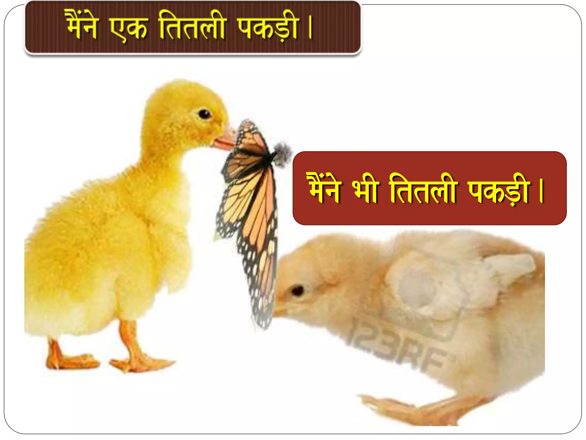 maOMnao BaI ittlaI pkD,I. 
 