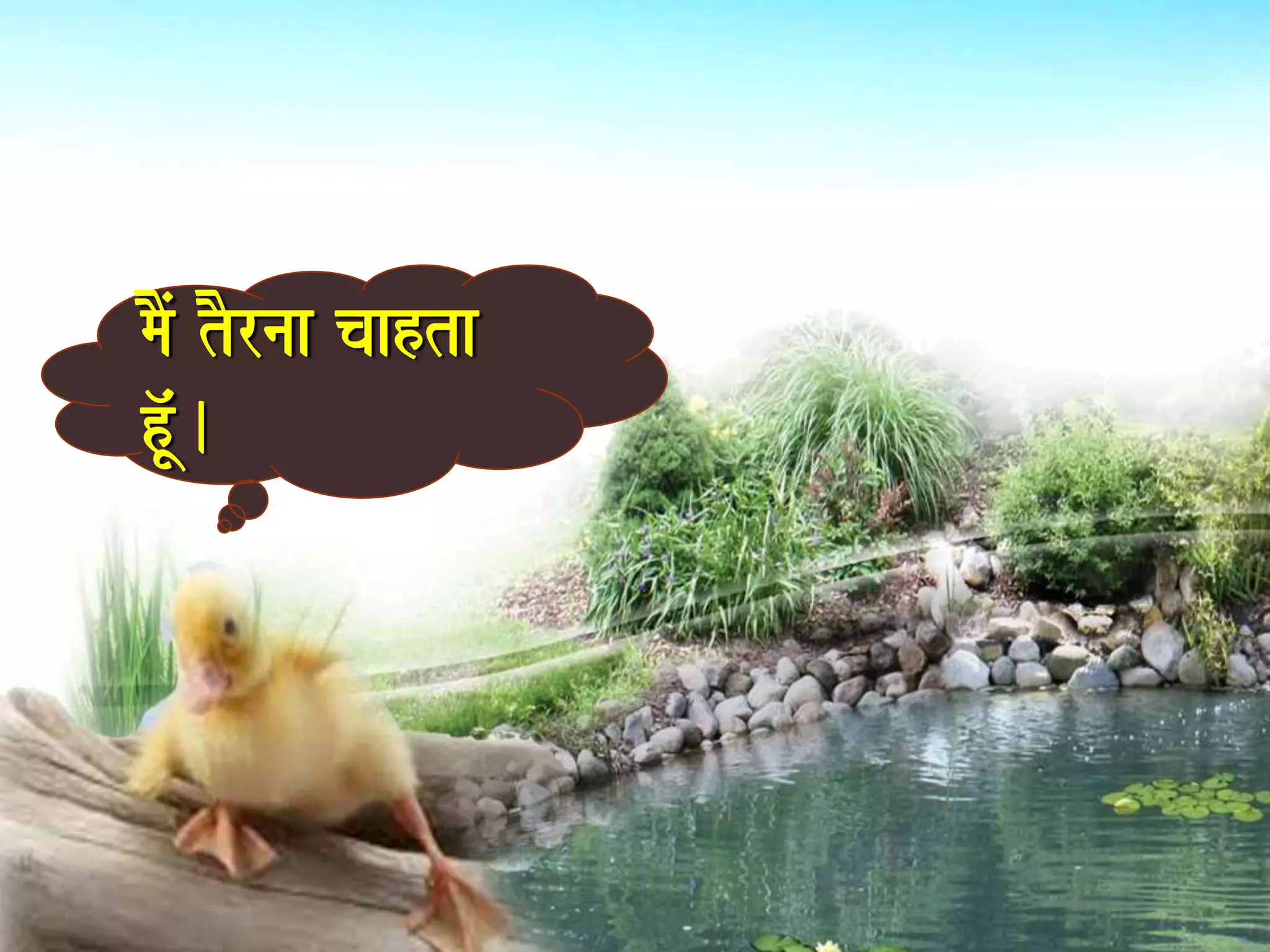 maOM tOrnaa caahta 
hU^M. 
 