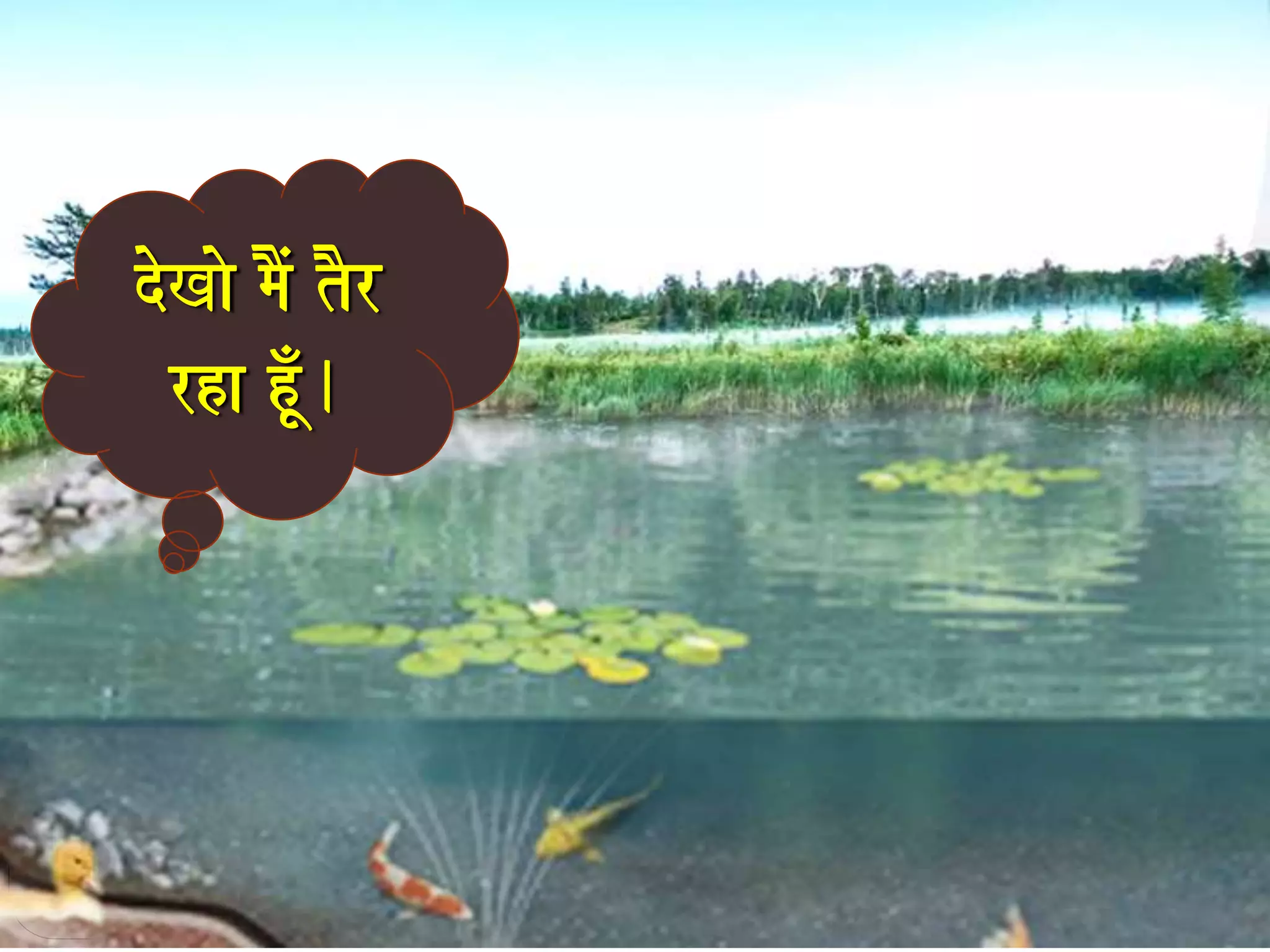 doKao maOM tOr 
rha hUÐ. 
 