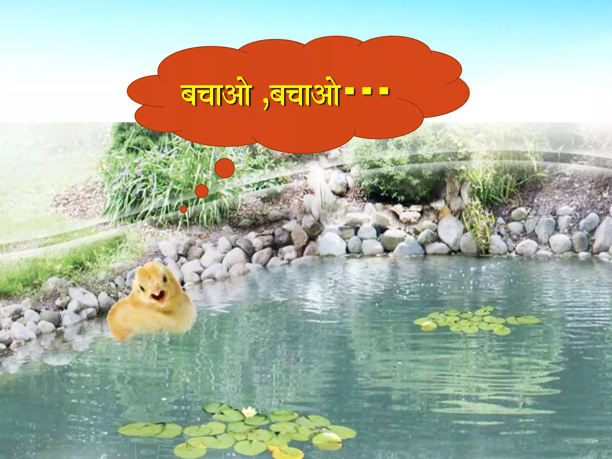 bacaaAao ÊbacaaAao··· 
 