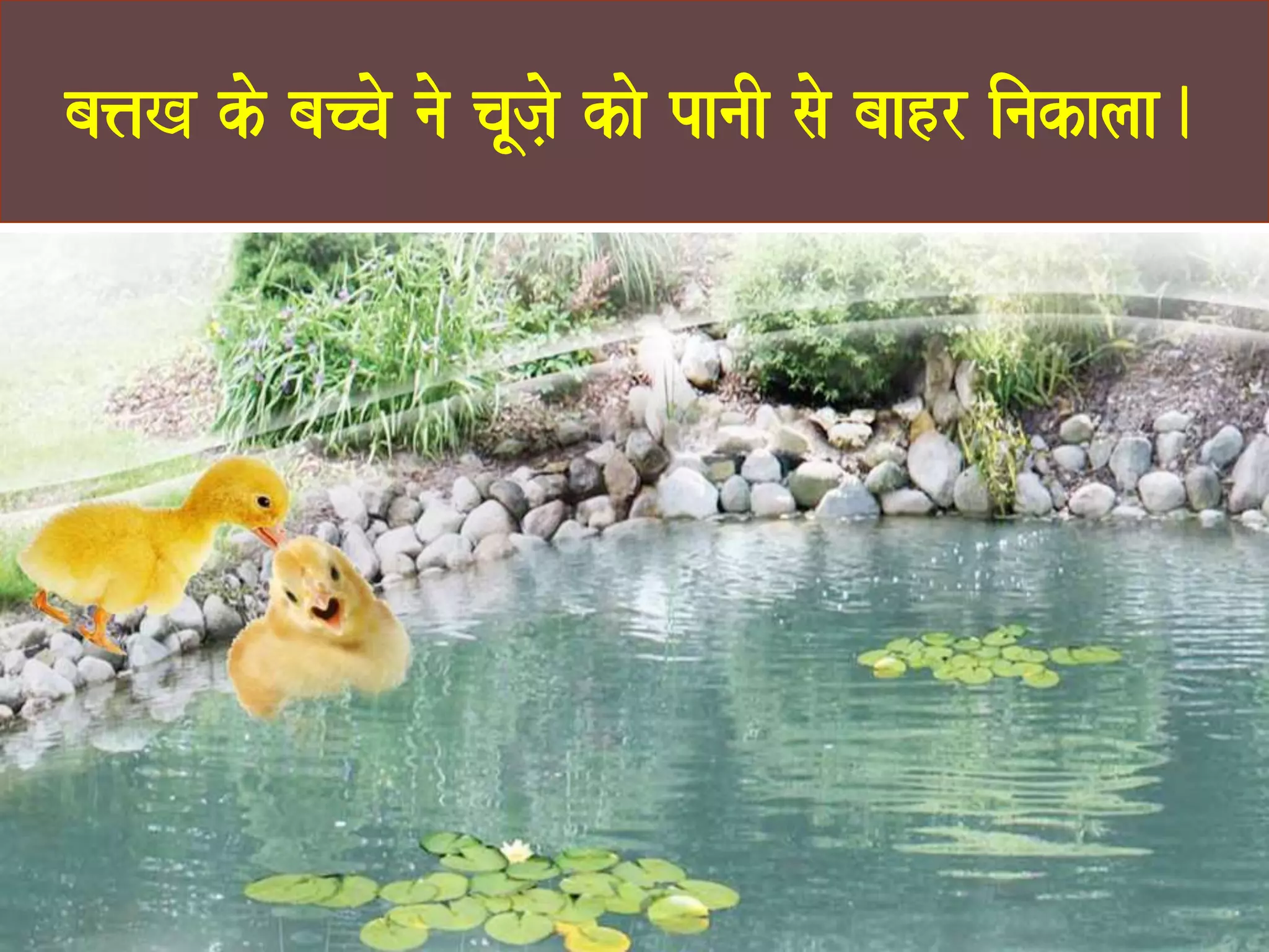 ba<aK ko baccao nao caUja,o kao panaI sao baahr inakalaa. 
 