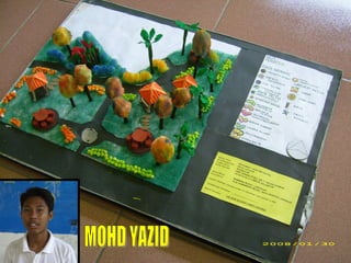 MOHD YAZID 