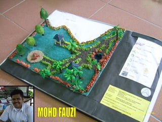 MOHD FAUZI 