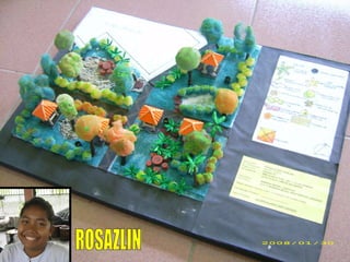ROSAZLIN 