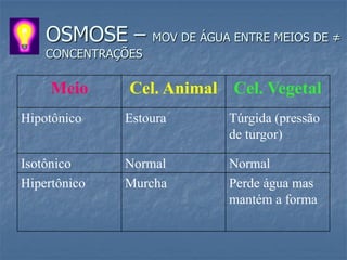 OSMOSE –        MOV DE ÁGUA ENTRE MEIOS DE ≠
    CONCENTRAÇÕES

     Meio      Cel. Animal Cel. Vegetal
Hipotônico    Estoura          Túrgida (pressão
                               de turgor)

Isotônico     Normal           Normal
Hipertônico   Murcha           Perde água mas
                               mantém a forma
 
