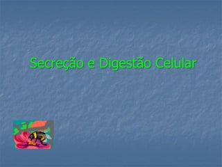 Secreção e Digestão Celular
 