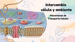 Intercambio
célula y ambiente
Mecanismos de
Transporte Celular
 