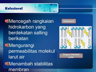 Kolesterol
Mencegah rangkaian
hidrokarbon yang
berdekatan salling
berikatan
Mengurangi
permeabilitas molekul
larut air
Menambah stabilitas
membran
Gugus hidroksil
polar
Kolesterol
 