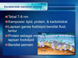 Karakteristik membran plasma :
Tebal 7-8 nm
Kamposisi: lipid, protein, & karbohidrat
Lapisan ganda fosfolipid bersifat fluid,
lentur
Protein sebagai mosaic tersebar diantara
lapisan fosfolipid
Bersifat asimetri
 