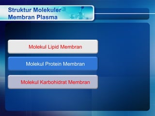Molekul Lipid Membran
Molekul Protein Membran
Molekul Karbohidrat Membran
 