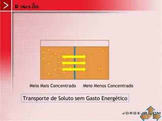 D ifu s ão




      Meio Mais Concentrado   Meio Menos Concentrado

   Transporte de Soluto sem Gasto Energético
 