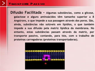 Tras np orte P as s ivo

 Difusão Facilitada -      Algumas substâncias, como a glicose,
   galactose e alguns aminoácidos têm tamanho superior a 8
   Angstrons, o que impede a sua passagem através dos poros. São,
   ainda, substâncias não solúveis em lipídios, o que também
   impede a sua difusão pela matriz lipídica da membrana. No
   entanto, estas substâncias passam através da matriz, por
   transporte passivo, contando, para isto, com o trabalho de
   proteínas carregadoras (proteínas transportadoras).
 