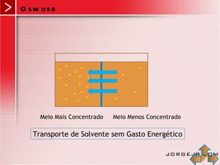 O s m os e




     Meio Mais Concentrado   Meio Menos Concentrado

   Transporte de Solvente sem Gasto Energético
 