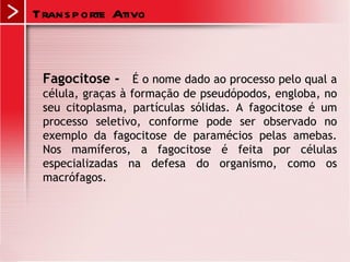 Trans p orte Ativo



 Fagocitose - É o nome dado ao processo pelo qual a
 célula, graças à formação de pseudópodos, engloba, no
 seu citoplasma, partículas sólidas. A fagocitose é um
 processo seletivo, conforme pode ser observado no
 exemplo da fagocitose de paramécios pelas amebas.
 Nos mamíferos, a fagocitose é feita por células
 especializadas na defesa do organismo, como os
 macrófagos.
 