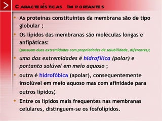C aracte rís ticas Im p ortante s
   As proteínas constituintes da membrana são de tipo
    globular ;
   Os lípidos das membranas são moléculas longas e
    anfipáticas:
    (possuem duas extremidades com propriedades de solubilidade, diferentes);
   uma das extremidades é hidrofílica (polar) e
    portanto solúvel em meio aquoso ;
   outra é hidrofóbica (apolar), consequentemente
    insolúvel em meio aquoso mas com afinidade para
    outros lípidos;
   Entre os lípidos mais frequentes nas membranas
    celulares, distinguem-se os fosfolípidos.
 