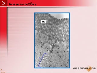 Inte rd igitaçõe s




9
xx/xx
 