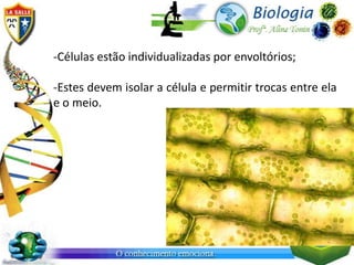 -Células estão individualizadas por envoltórios;

-Estes devem isolar a célula e permitir trocas entre ela
e o meio.
 