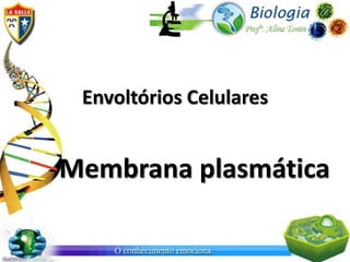 Envoltórios Celulares


Membrana plasmática
 