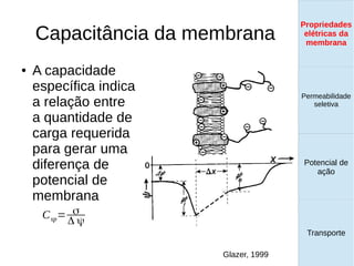 Capacitância da membrana
● A capacidade
específica indica
a relação entre
a quantidade de
carga requerida
para gerar uma
diferença de
potencial de
membrana
Propriedades
elétricas da
membrana
Permeabilidade
seletiva
Transporte
Equilíbrio de
Donnan
Csp= σ
Δ ψ
Glazer, 1999
Propriedades
elétricas da
membrana
Permeabilidade
seletiva
Equilíbrio de
Donnan
Potencial de
ação
Transporte
Propriedades
elétricas da
membrana
Permeabilidade
seletiva
Potencial de
ação
Transporte
Propriedades
elétricas da
membrana
 