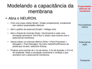 Modelando a capacitância da
membrana
● Abra o NEURON.
● Criar uma corpo celular (Build > Single compartment), inicialmente
sem atribuir propriedades elétricas
● Abrir o gráfico de potencial (Graph > Voltage axis)
● Abrir o Painel de Controle (Tools > RunControl) e rodar uma
simulação (pressione “Init & Run”); anote o que ocorreu com o
potencial da membrana.
● Vamos injetar um estímulo elétrico (Tools > Point Processes >
Managers > Point Manager). No menu SelectPointProcess da
janela que irá abrir, selecione IClamp.
● Produza uma corrente de 1 ms de atraso, 2 ms de duração, e 0.5 nA
de amplitude. Rode a simulação novamente e verifique o que
acontece com o potencial de membrana.
Propriedades
elétricas da
membrana
Permeabilidade
seletiva
Transporte
Equilíbrio de
Donnan
Propriedades
elétricas da
membrana
Permeabilidade
seletiva
Equilíbrio de
Donnan
Potencial de
ação
Transporte
Propriedades
elétricas da
membrana
Permeabilidade
seletiva
Potencial de
ação
Transporte
Propriedades
elétricas da
membrana
 