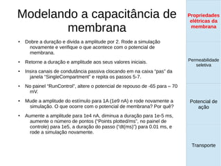 Modelando a capacitância de
membrana
● Dobre a duração e divida a amplitude por 2. Rode a simulação
novamente e verifique o que acontece com o potencial de
membrana.
● Retorne a duração e amplitude aos seus valores iniciais.
● Insira canais de condutância passiva clocando em na caixa “pas” da
janela “SingleCompartment” e repita os passos 5-7.
● No painel “RunControl”, altere o potencial de repouso de -65 para – 70
mV.
● Mude a amplitude do estímulo para 1A (1e9 nA) e rode novamente a
simulação. O que ocorre com o potencial de membrana? Por quê?
● Aumente a amplitude para 1e4 nA, diminua a duração para 1e-5 ms,
aumente o número de pontos (“Points plotted/ms”, no painel de
controle) para 1e5, a duração do passo (“dt(ms)”) para 0.01 ms, e
rode a simulação novamente.
Propriedades
elétricas da
membrana
Permeabilidade
seletiva
Transporte
Equilíbrio de
Donnan
Propriedades
elétricas da
membrana
Permeabilidade
seletiva
Equilíbrio de
Donnan
Potencial de
ação
Transporte
Propriedades
elétricas da
membrana
Permeabilidade
seletiva
Potencial de
ação
Transporte
Propriedades
elétricas da
membrana
 