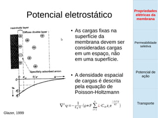 Potencial eletrostático
Propriedades
elétricas da
membrana
Permeabilidade
seletiva
Transporte
Equilíbrio de
Donnan
● As cargas fixas na
superfície da
membrana devem ser
consideradas cargas
em um espaço, não
em uma superfície.
● A densidade espacial
de cargas é descrita
pela equação de
Poisson-Holtzmann
∇
2
ψ=−
1
ε0⋅ε⋅(ρ+F ∑
i=1
n
¿⋅Ci0 zi e
−zi e ψ
kT
)
Glazer, 1999
Propriedades
elétricas da
membrana
Permeabilidade
seletiva
Equilíbrio de
Donnan
Potencial de
ação
Transporte
Propriedades
elétricas da
membrana
Permeabilidade
seletiva
Potencial de
ação
Transporte
Propriedades
elétricas da
membrana
 